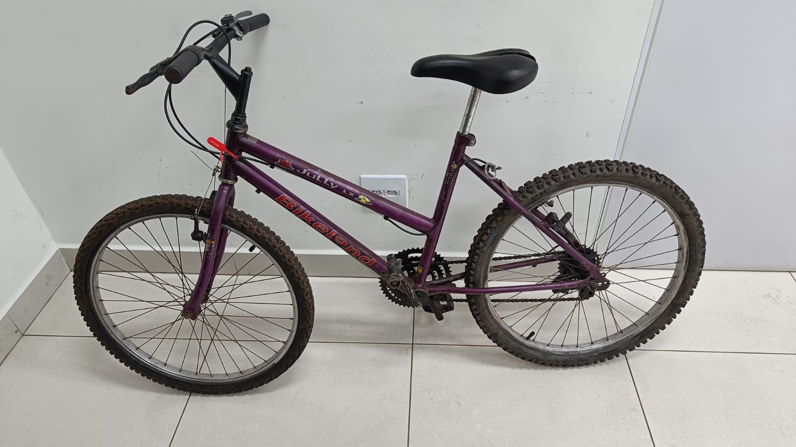 Bicicleta recuperada  